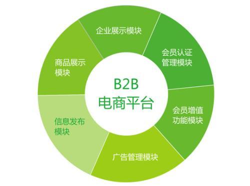 為什么需要定制的b2b網站系統建設方案?