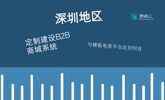 深圳地區定制建設B2B商城系統,與模板電商平臺區別何在